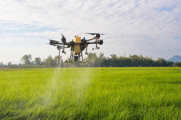 Drone agrícola voando e pulverizando fertilizantes e pesticidas sobre terras agrícolas