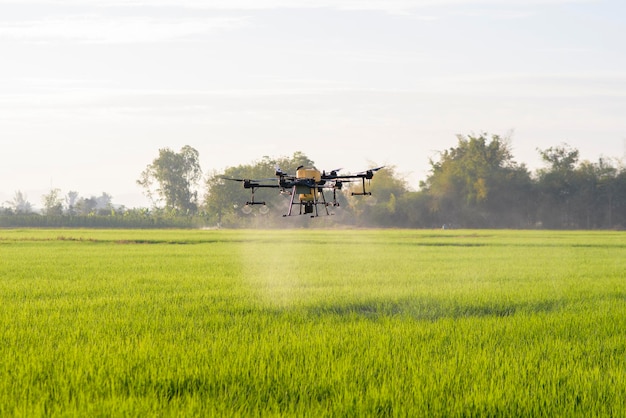 Drone agrícola voando e pulverizando fertilizantes e pesticidas sobre terras agrícolas
