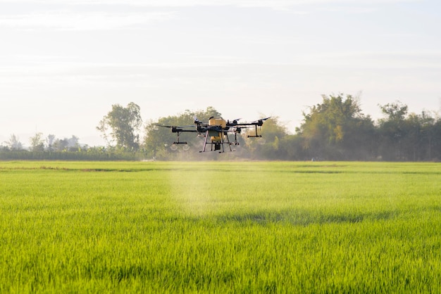 Drone agrícola voando e pulverizando fertilizantes e pesticidas sobre terras agrícolas