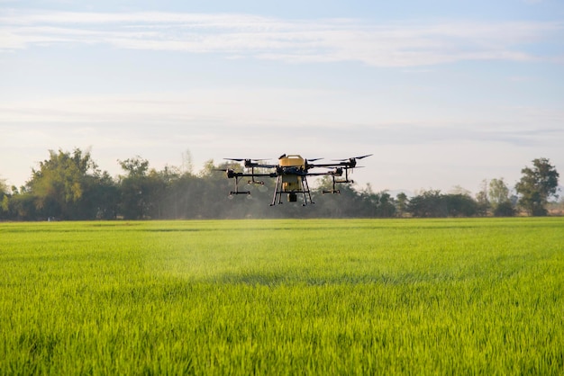 Drone agrícola voando e pulverizando fertilizantes e pesticidas sobre terras agrícolas