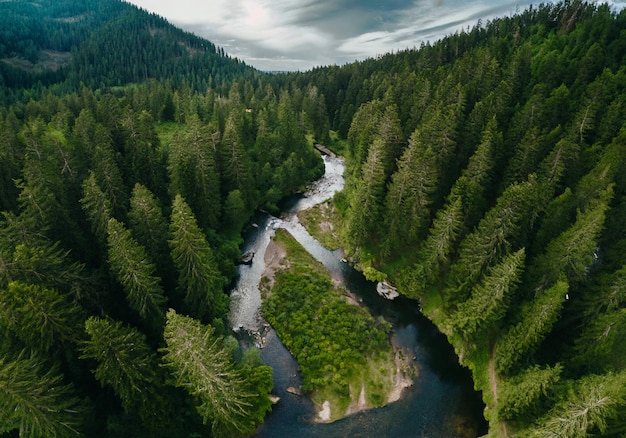 Foto drone de arriba hacia abajo disparado en un río que fluye en el medio de un bosque verde