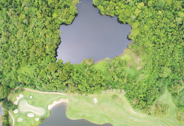 Drone de vista aérea tiro de cima para baixo de uma floresta abundante com um belo campo de golfe verde e palmeiras no verão vista de alto ângulo de grama verde e árvores no campo de golfe.