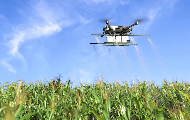 Drone pulverización de fertilizantes en plantas vegetales verdes Tecnología agrícola Automatización agrícola