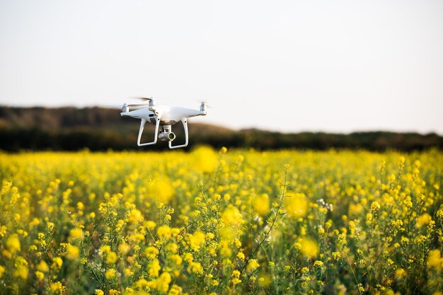 Drone Quad Copter auf grünem Maisfeld