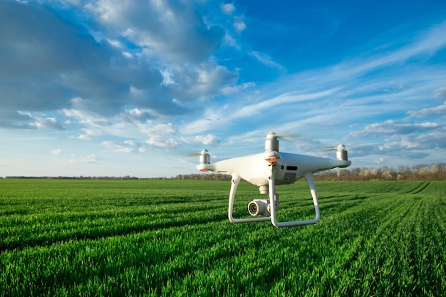 Drone quad copter en campo de maíz verde