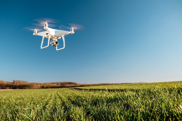 Drone quad copter en campo de maíz verde