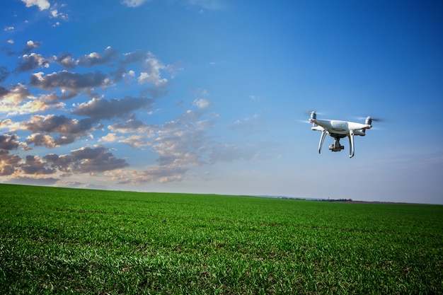 Drone quad copter en campo de maíz verde