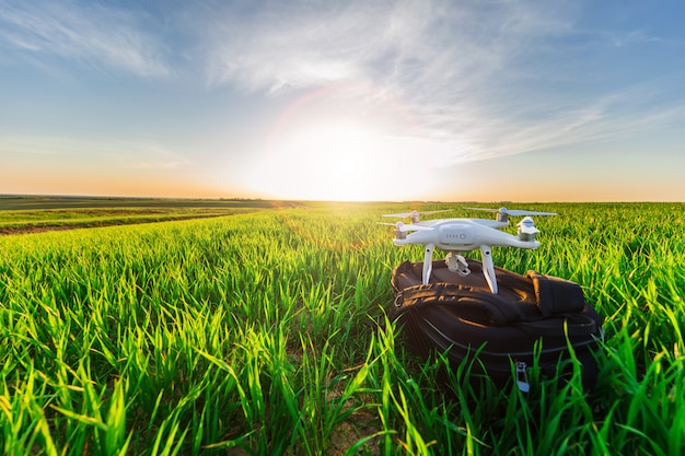 Drone quad copter en campo de maíz verde