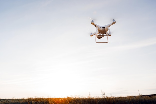 Drone quad copter en campo de maíz verde