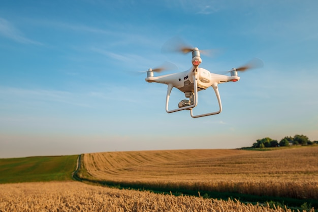 Drone quad copter en campo de maíz verde