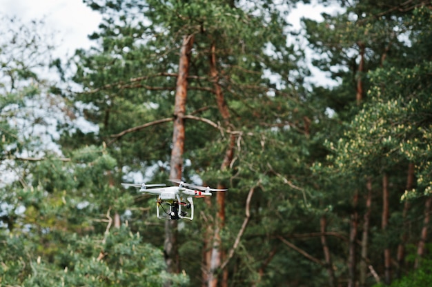 Drone Quad Copter mit hochauflösender Digitalkamera gegen Kiefernwald.