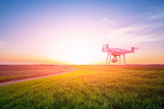 Drone quad helicóptero no campo de milho amarelo