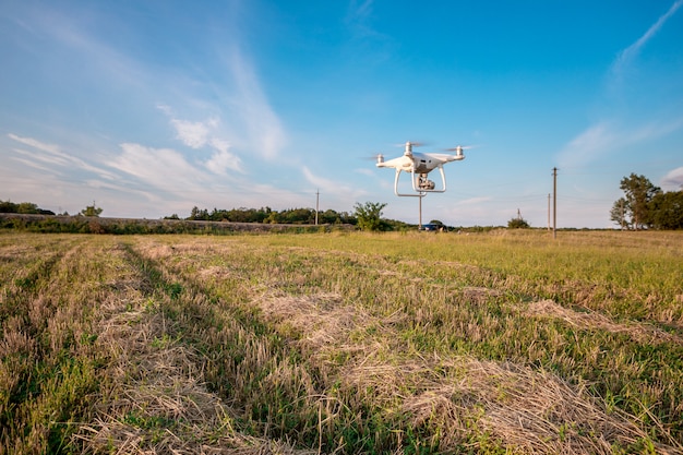 Drone quad helicóptero no campo de milho verde