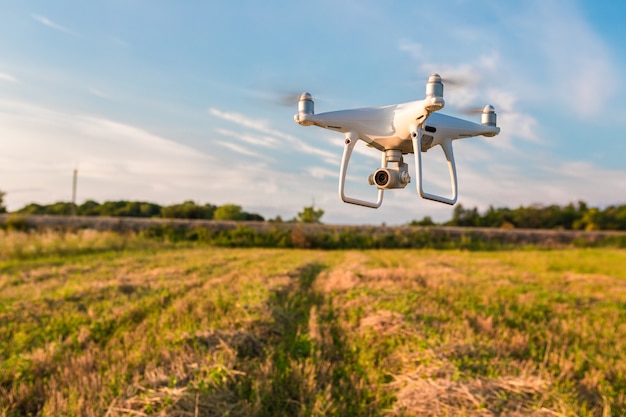 Drone quad helicóptero no campo de milho verde