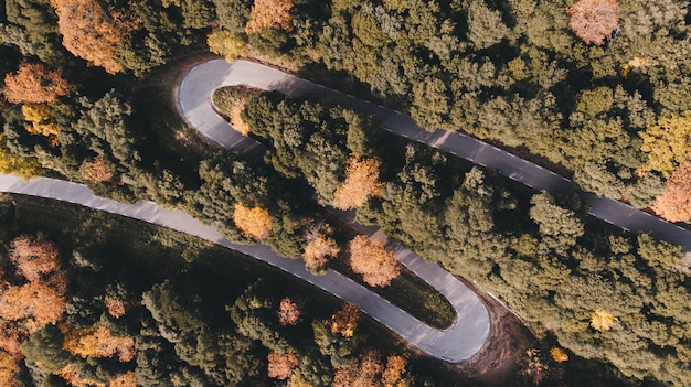 Drone / Vista aérea de una carretera con curvas en medio del bosque al atardecer en otoño