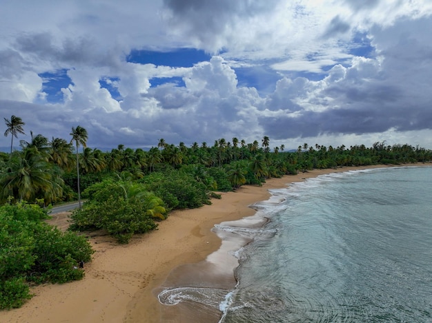 Drone vista da ilha tropical