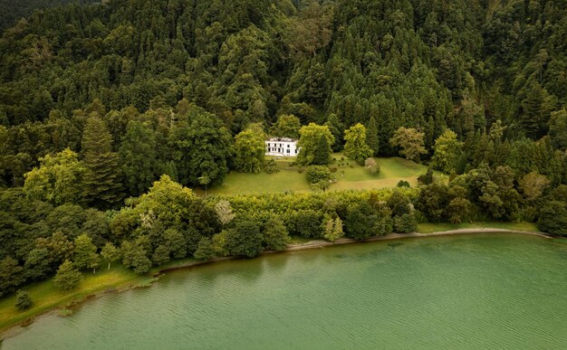 Drone vista del paisaje de la cabaña ubicada en bosques espesos en la orilla del estanque tranquilo