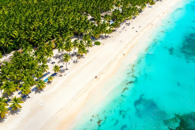 Drone vista de la playa de la isla tropical caribeña