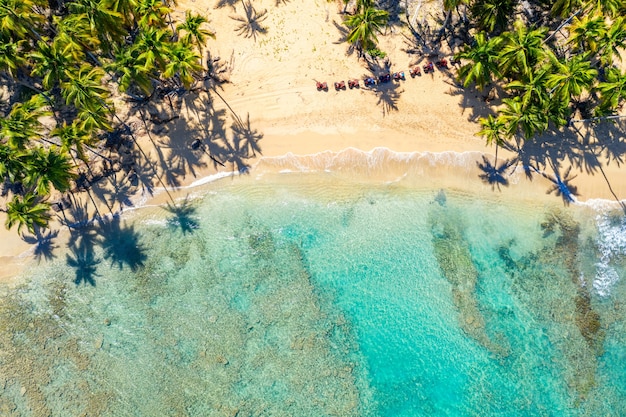 Drone vista de playa tropical con palmeras y quads en República Dominicana