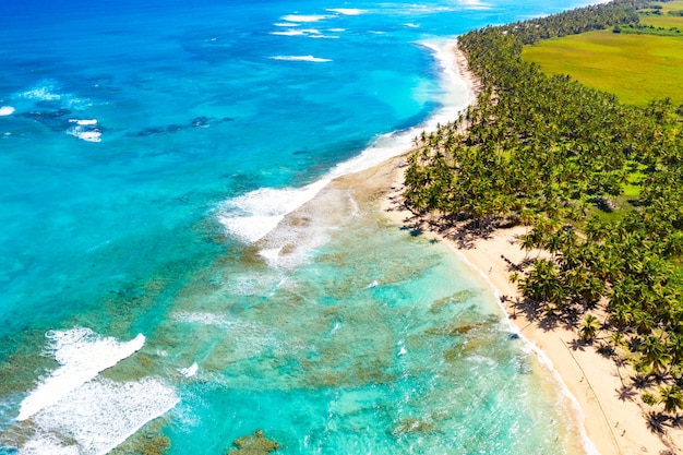 Drone vista de la salvaje playa tropical del caribe con palmeras en República Dominicana