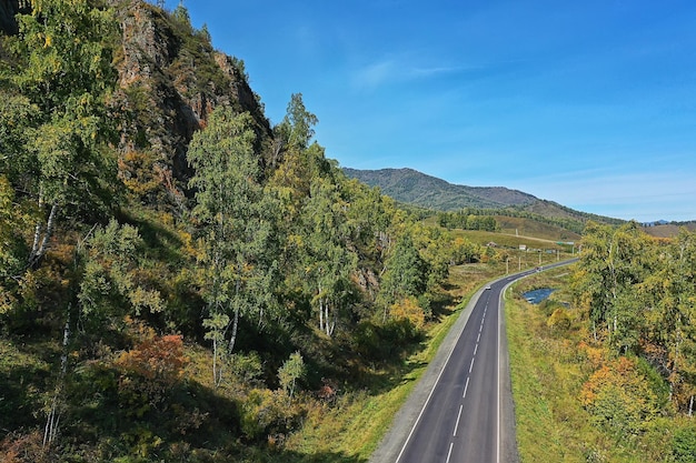 Drone de vista superior de bosque de verano, paisaje de panorama de árboles verdes de fondo