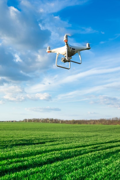 Drone voando acima do campo de trigo