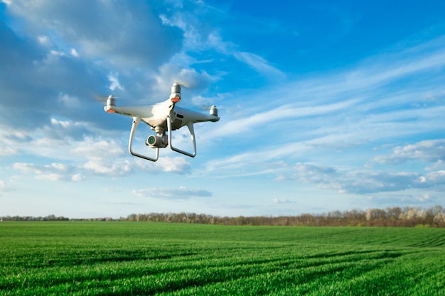 Drone voando acima do campo de trigo