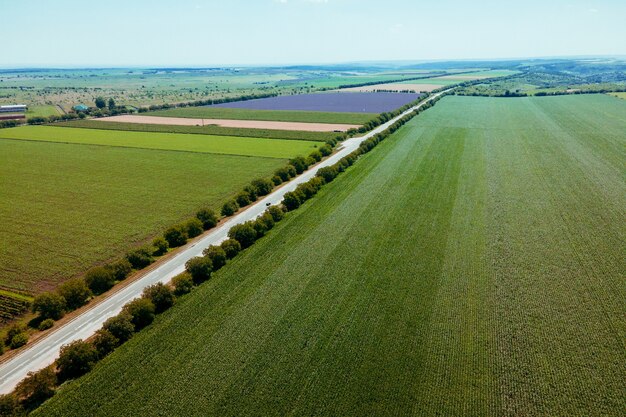 Drone volando sobre la carretera entre campos agrícolas verdes durante el amanecer vista aérea de la puesta del sol ...