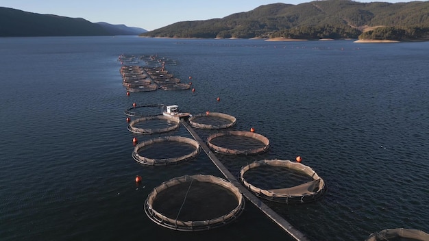 Drone volando sobre la piscifactoría de salmón en la vista aérea del río