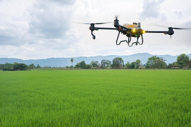 Drones agrícolas pulverizam fertilizantes em campos de arroz Conceito de fazenda inteligente