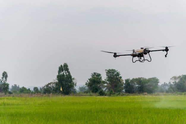 Foto drones agrícolas rocían fertilizantes en campos de arroz concepto de granja inteligente