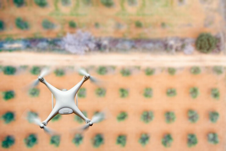 Foto drones sobre el paisaje