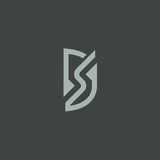 DS-Monogramm-Logo-Design, Buchstabe, Text, Name, Symbol, monochromes Logo, Alphabet-Zeichen, einfaches Logo