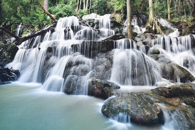 Dschungel-Flussstrom des Wasserfalllandschaftswaldberges und des Bambusbaums wilder tropischer Wasserfall-Thailand