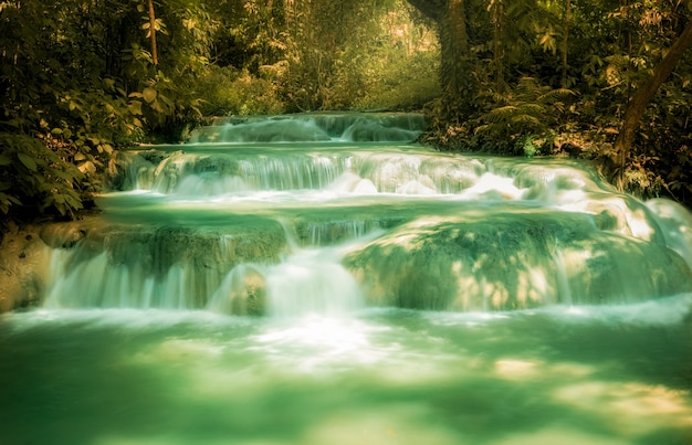 Dschungel Wasserfälle in der Natur Der Fluss ist unten.