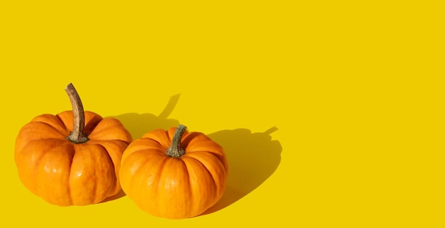 Duas abóboras em fundo laranja. Banner de outono com abóboras. Banner de receita para cozinhar sazonal c