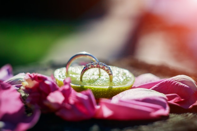 Duas alianças de casamento com a flor branca no fundo.