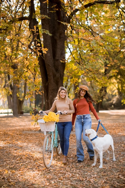 Duas amigas andando no parque outono amarelo com cachorro e bicicleta