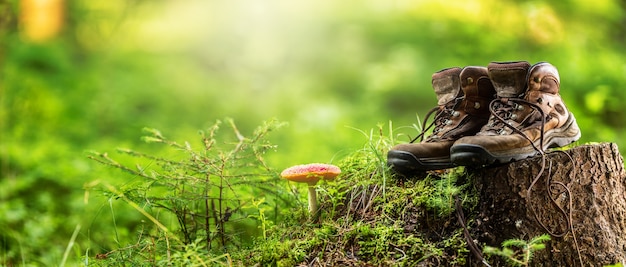 Duas botas de caminhada usadas colocadas na floresta em um toco ao lado de um cogumelo. Banner panorâmico horizontal.