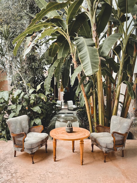 Duas cadeiras na frente de plantas no pátio interior