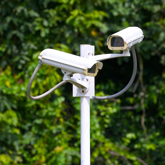 Duas câmeras de vigilância de segurança perto da floresta verde