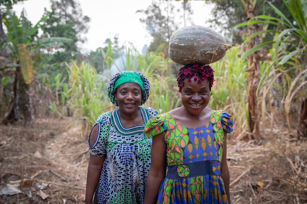 Duas camponesas nos campos vestidas com roupas tradicionais africanas acabaram de colher uma abóbora e trabalham na áfrica