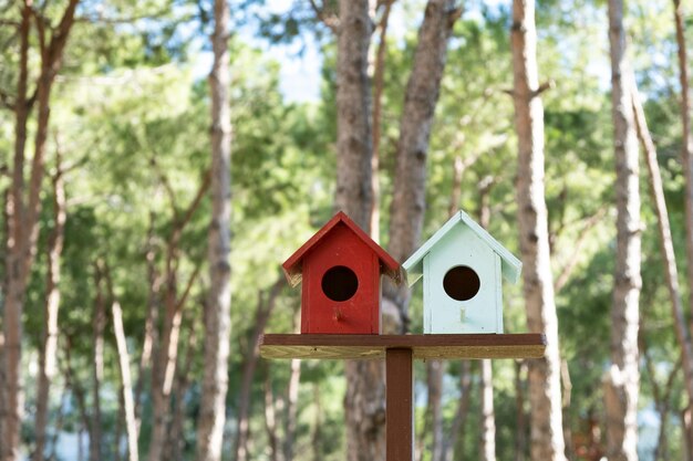 Duas casas de pássaros de madeira em um estande no parque com folhagem desfocada ao fundo