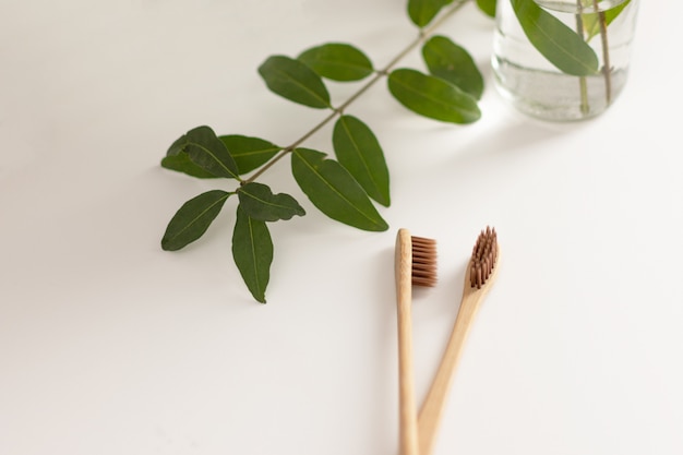 Duas escovas de bambu biodegradáveis e compostáveis em branco