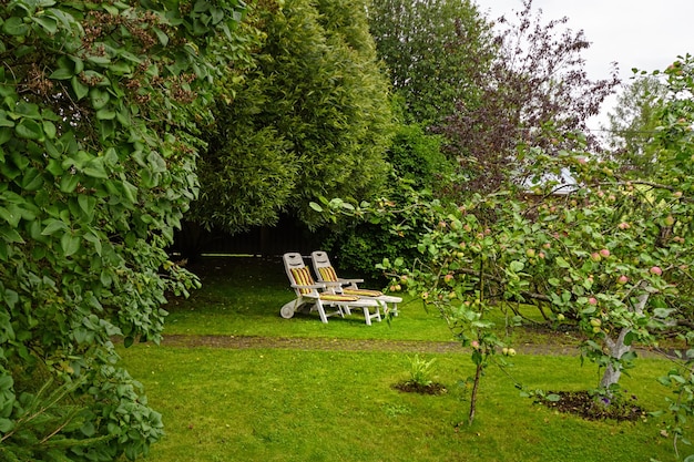 Duas espreguiçadeiras de madeira dobráveis com um jardim em um fundo de árvores verdes O fundo da paisagem de verão Abra o gazebo de madeira no jardim com macieiras e flores