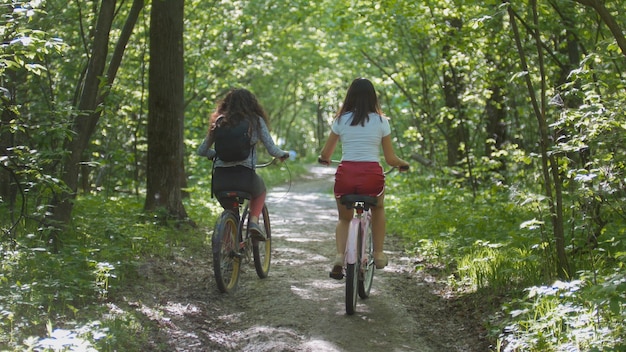 Duas famale caminham ao longo do caminho para o matagal do dia de verão do Parque, tiro telefoto de visão traseira