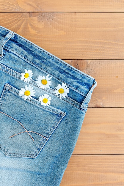 Duas flores de camomila no bolso da calça jeans. margarida em fundo de jeans azul. cartão de verão