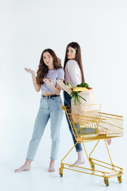 Duas garotas europeias se divertindo depois das compras. Retrato interior de irmãs em êxtase posando juntas.