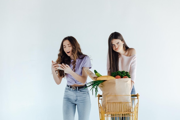 Duas garotas europeias se divertindo depois das compras. Retrato interior de irmãs em êxtase posando juntas.