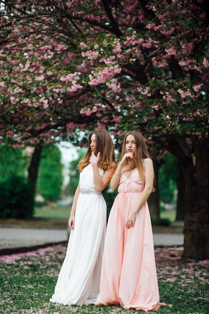 Duas garotas perto de uma árvore florida. Por exemplo, um retrato de uma jovem e bela dama elegante